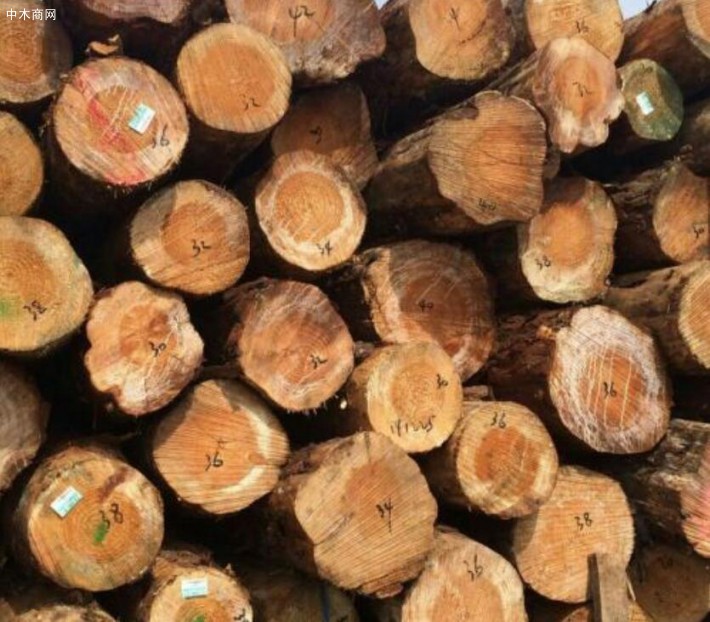 新西蘭國內原木價格行情走勢_2020年8月20日